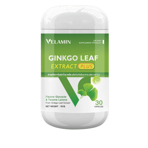 GINKGO LEAF EXTRACT PLUS-VELAMIN เวลามิน