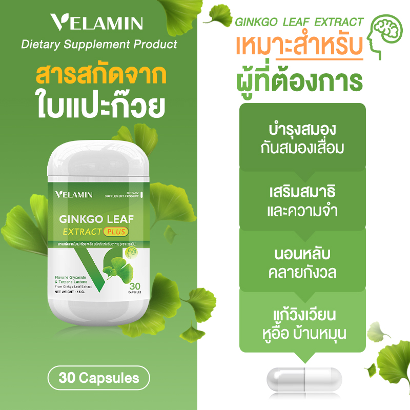 Velamin - Ginkgo Leaf Extract Plus - สารสกัดจากใบแปะก๊วย เสริมความจำ - Image 4