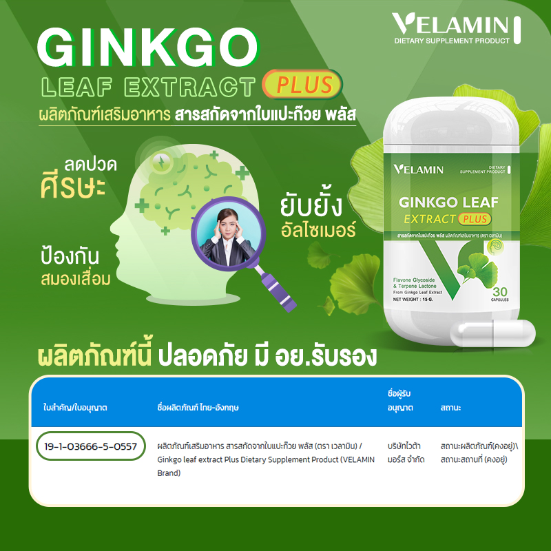 Velamin - Ginkgo Leaf Extract Plus - สารสกัดจากใบแปะก๊วย เสริมความจำ - Image 6